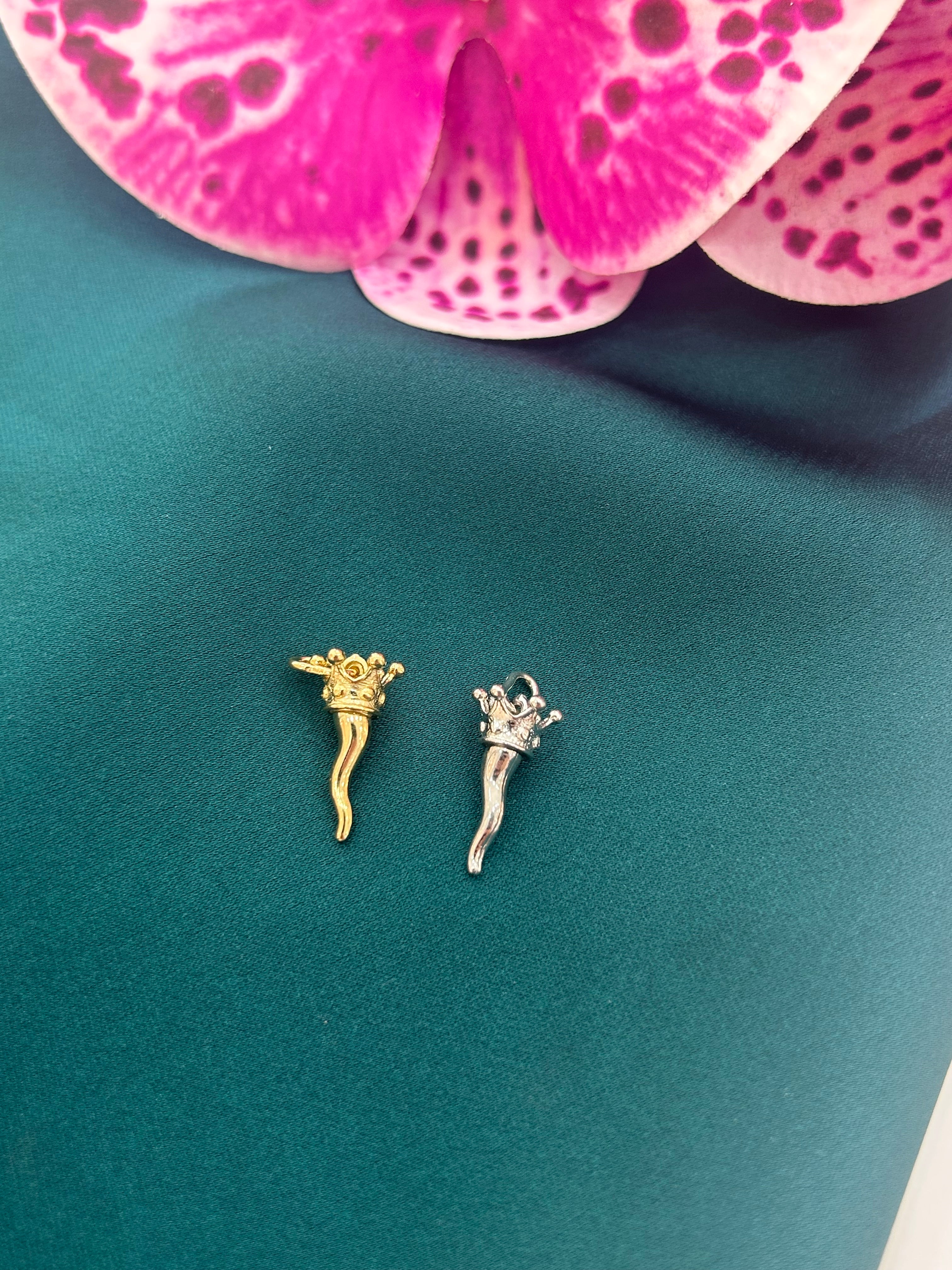 Il Signor Curniciello