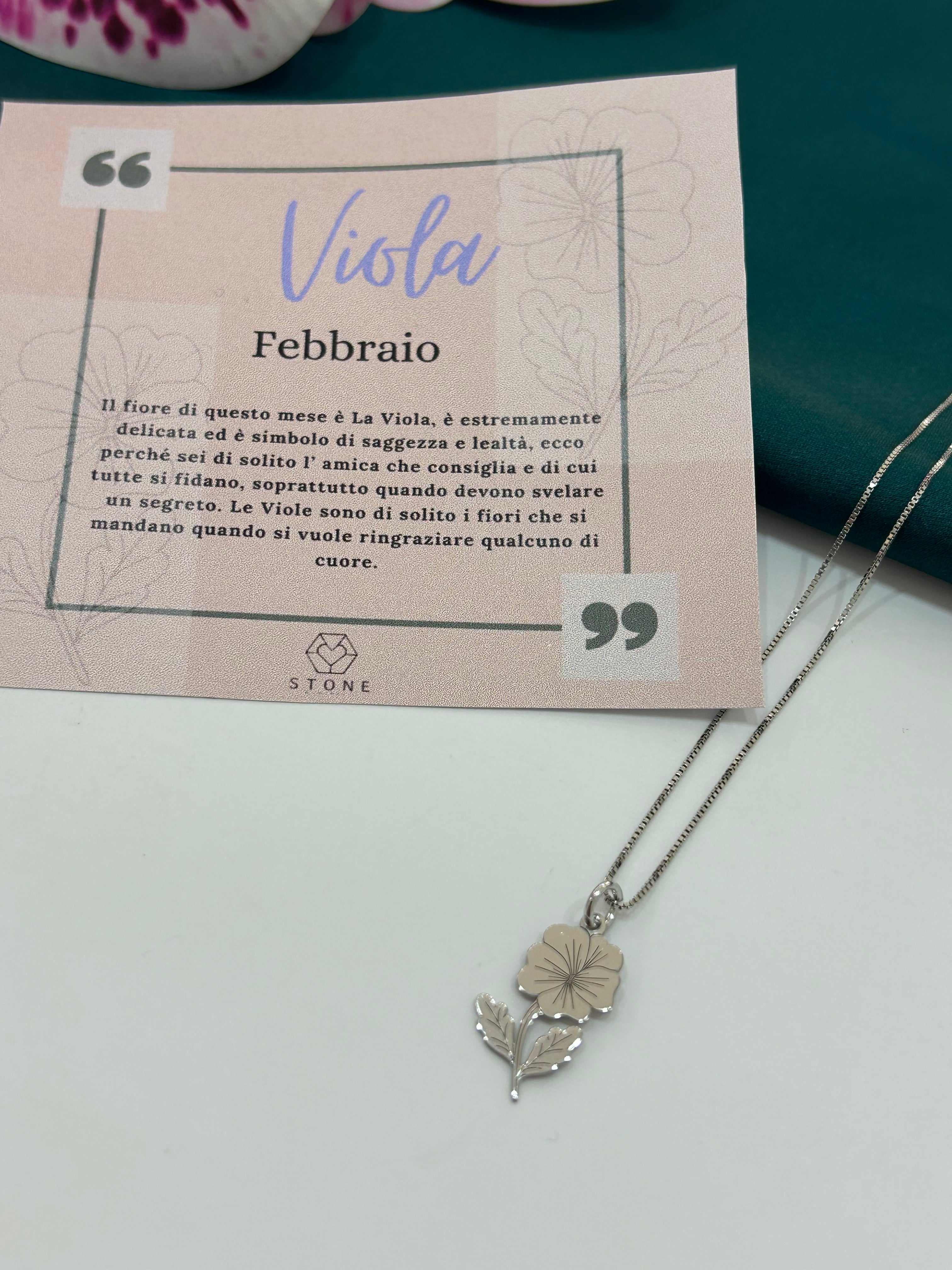Viola Febbraio