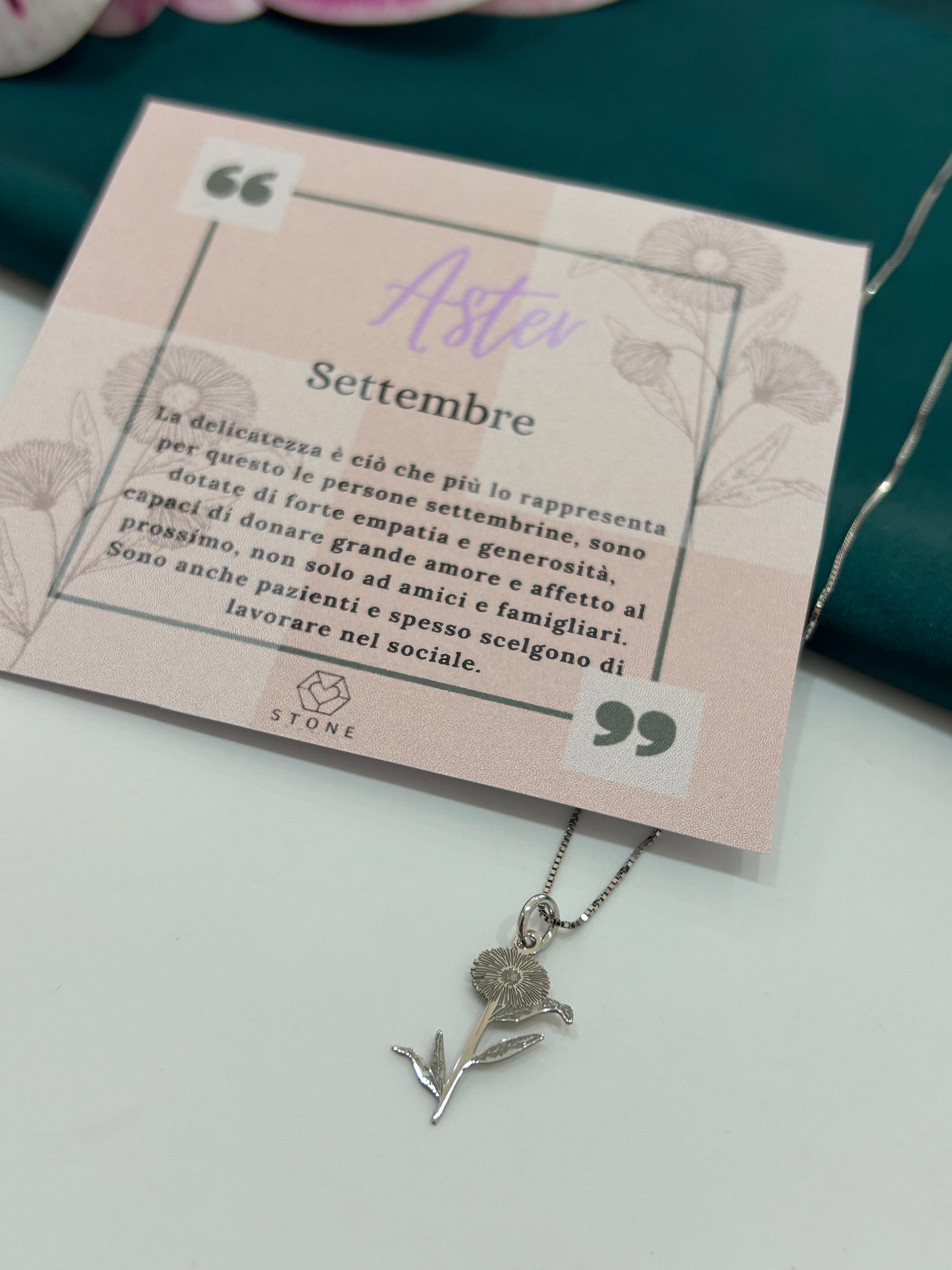Aster Settembre