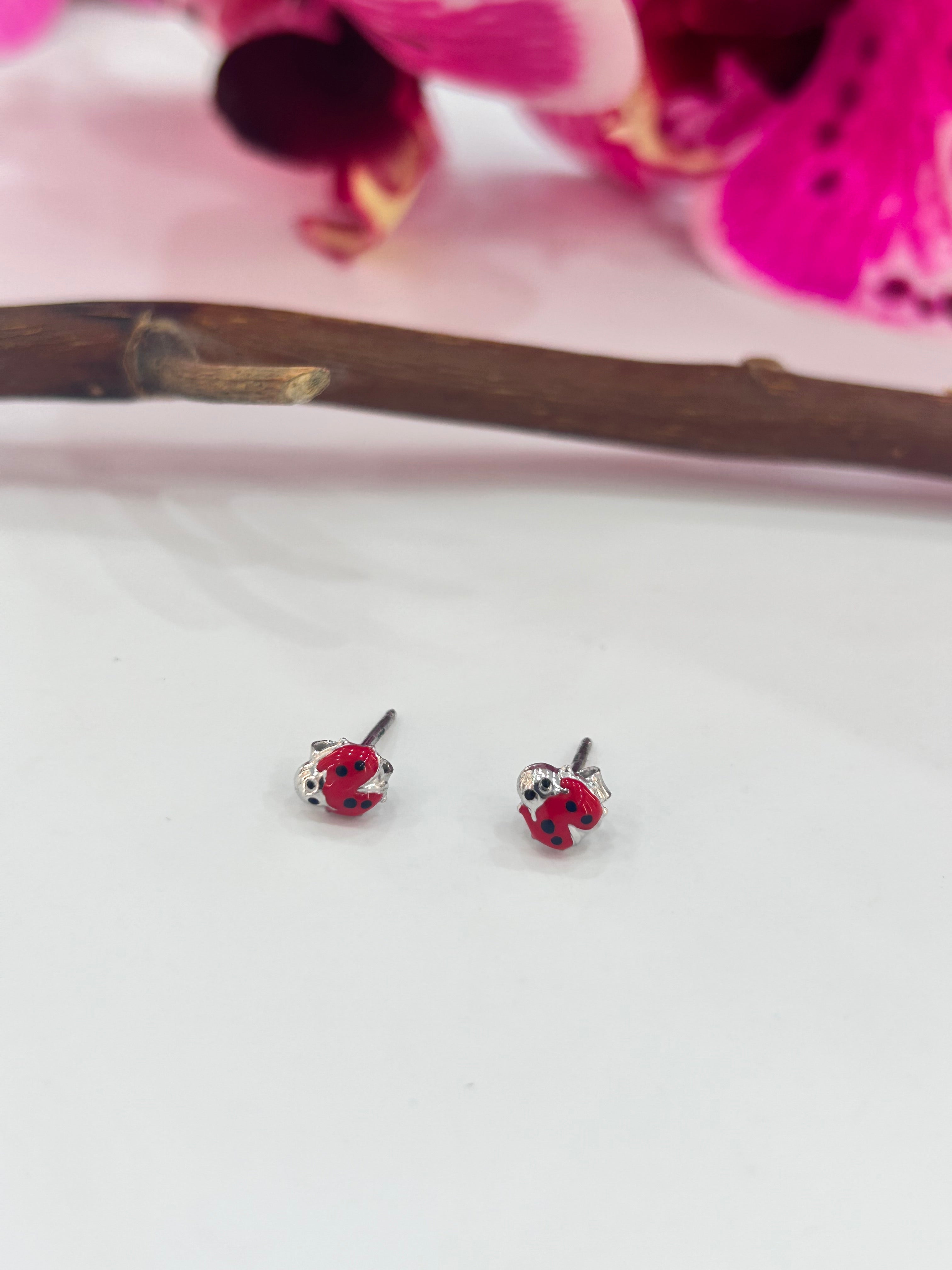 Coccinelle