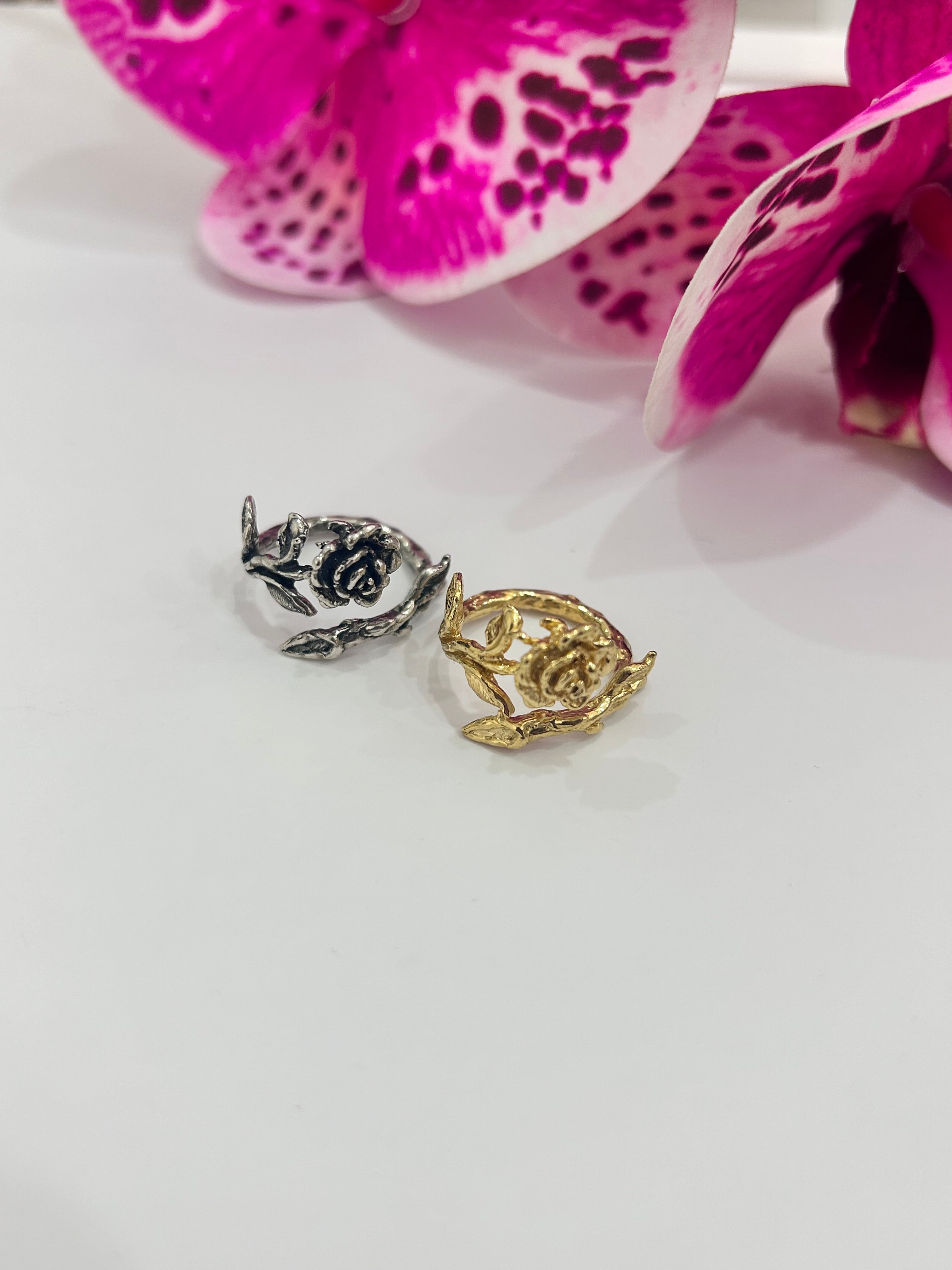 Rosa